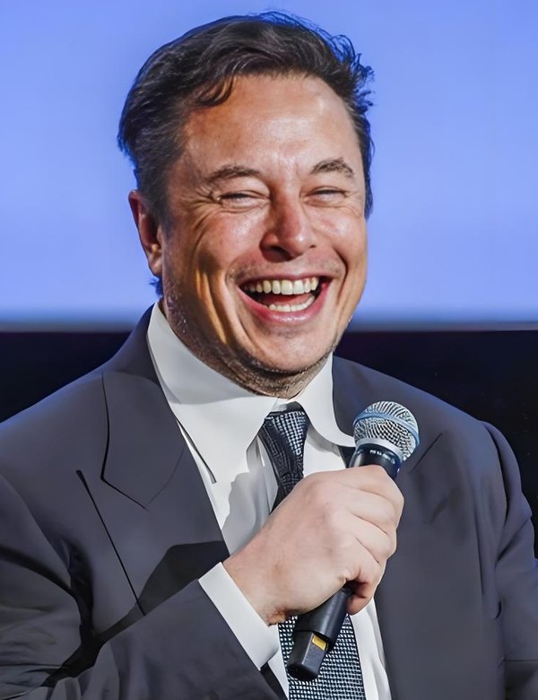 埃隆·马斯克分身照片